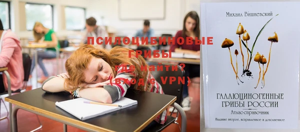 MDMA Premium VHQ Алзамай